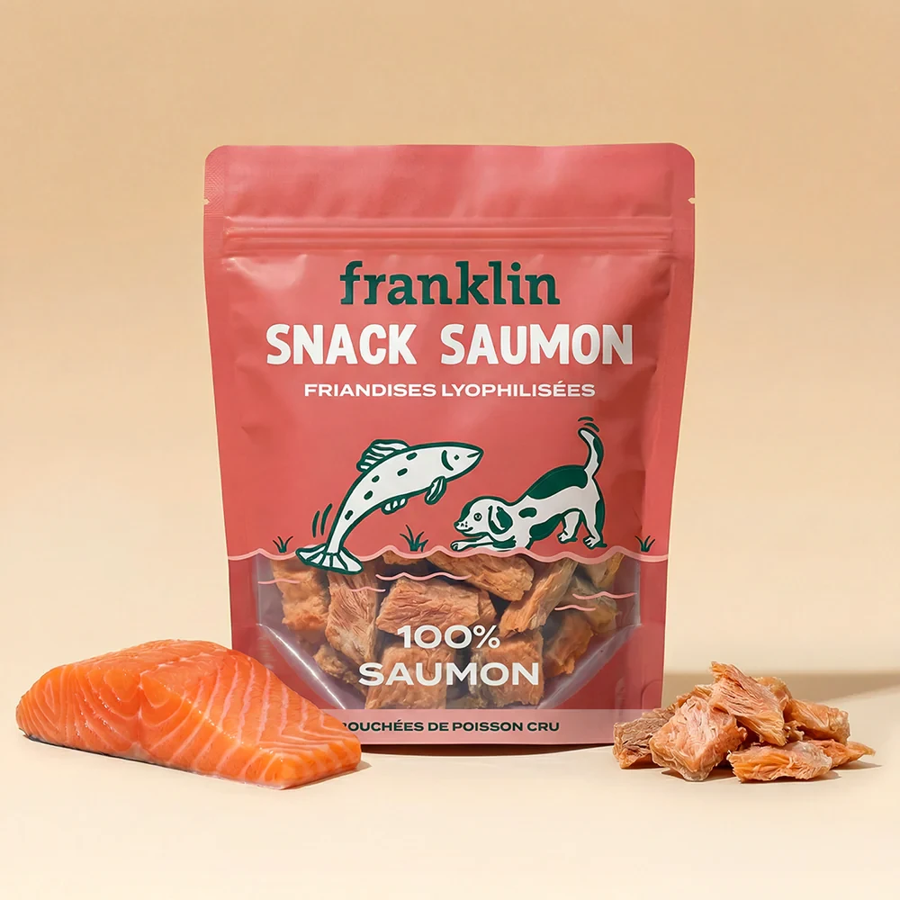 Snack saumon lyophilisé Franklin