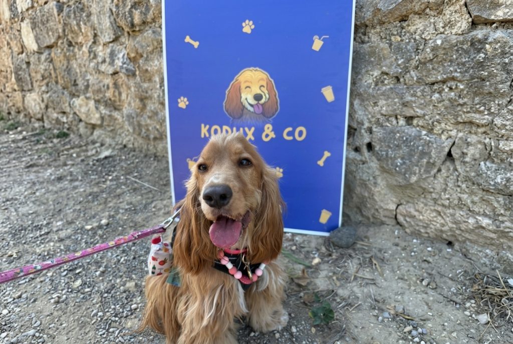 Cocker Spaniel roux souriant devant le panneau Kodux and Co au festival de Les Matelles