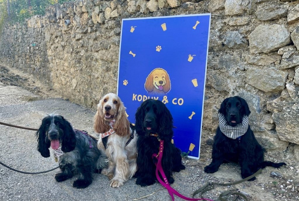 Quatre Cockers Spaniels posant devant le panneau Kodux and Co lors de la première édition du festival