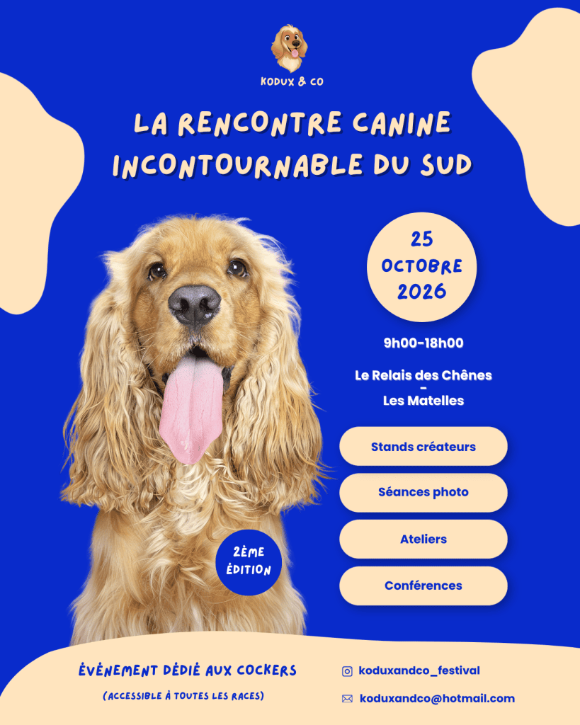 Affiche officiel Kodux and Co, festival de Les Matelles